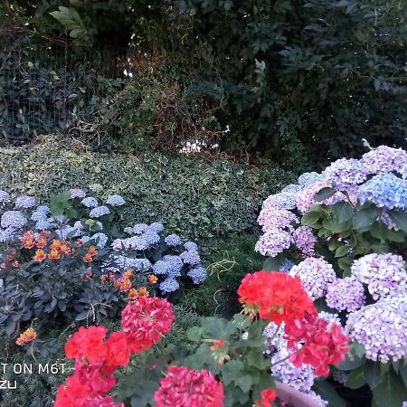 Alloggio Per Uso Turistico Da Margherita 菲乌吉 外观 照片