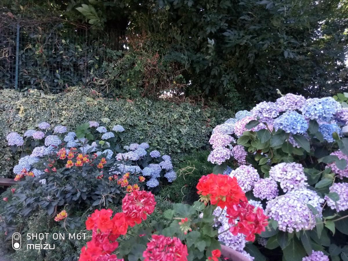 Alloggio Per Uso Turistico Da Margherita 菲乌吉 外观 照片